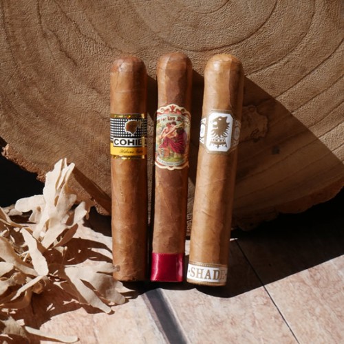 Robusto Cigars Robusto Cigars